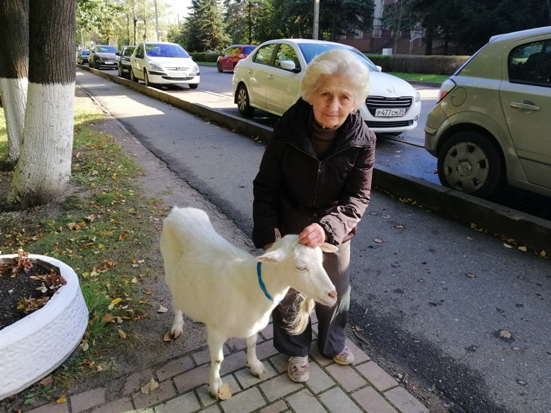 Дружба крепкая не сломается