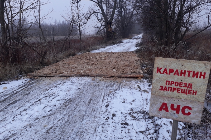 Обнаружен новый очаг вируса АЧС