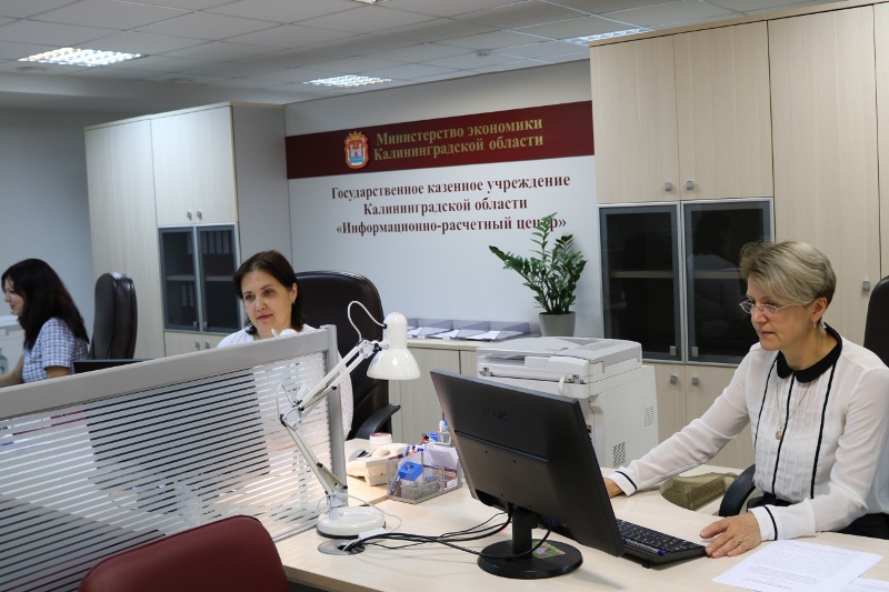 Калининградская область «цифрует» субсидии