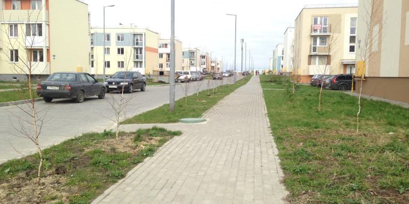 ЖК «Новое Голубево»: высадили 250 деревьев