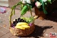 gurday1_043.jpg