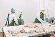 ham_016.jpg