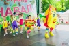 041.jpg