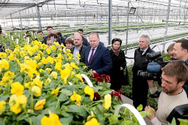 Николай Цуканов предложил компании в Гвардейском районе поучаствовать в программах озеленения муниципалитетов