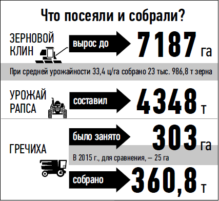 Первые по картошке: гурьевские аграрии подвели итоги минувшего года