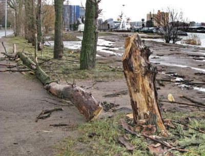 Непогода натворила дел