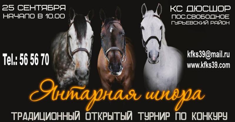 «Янтарная шпора»