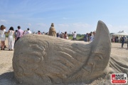 sand2013_015.jpg