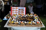 gurdistrict2012_043.jpg