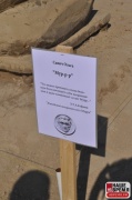 sand2013_023.jpg