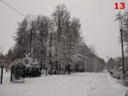 Плеханова Наталья