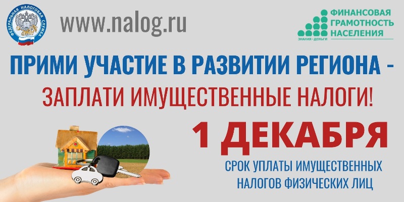 Меньше месяца остается для своевременной оплаты имущественных налогов