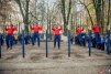 army20140043.jpg