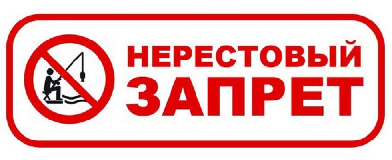 Нерестовый запрет