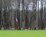 nv13_007.jpg