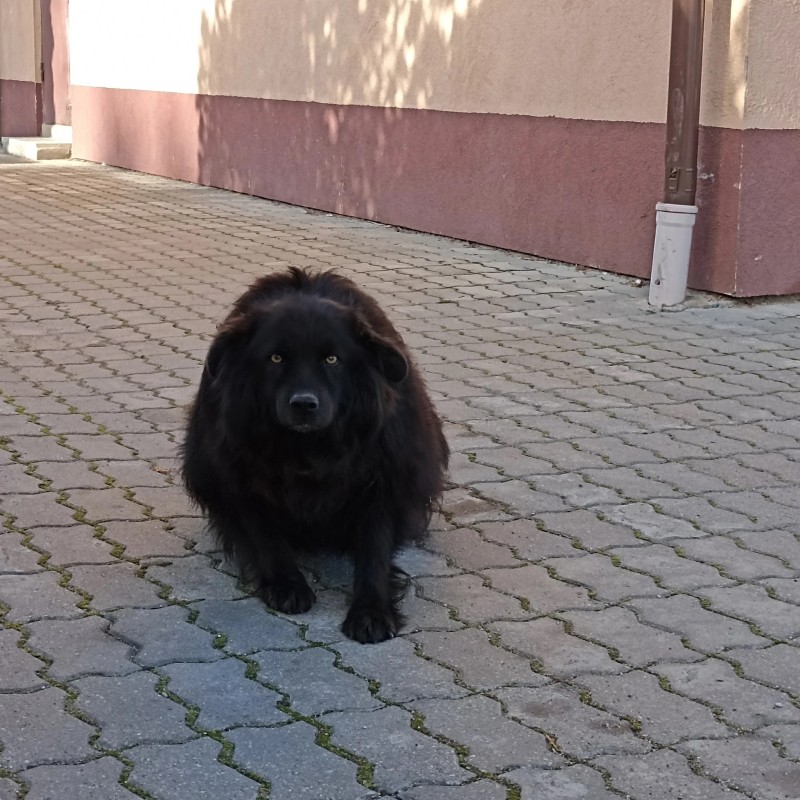 Вот что значит добрые дела…
