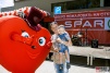 spar11