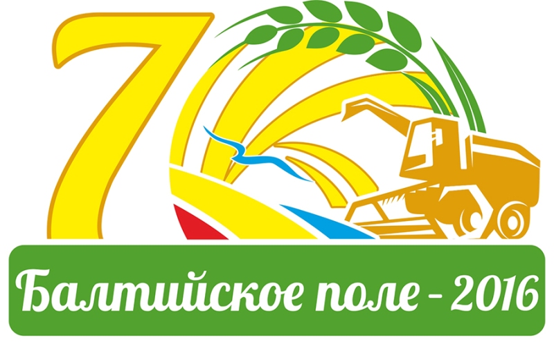«День балтийского поля»