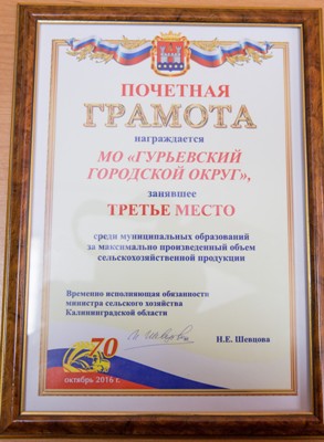 Муниципалитет в тройке лучших