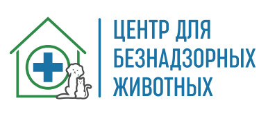 Проблемой бездомных животных в регионе занялось государственное учреждение