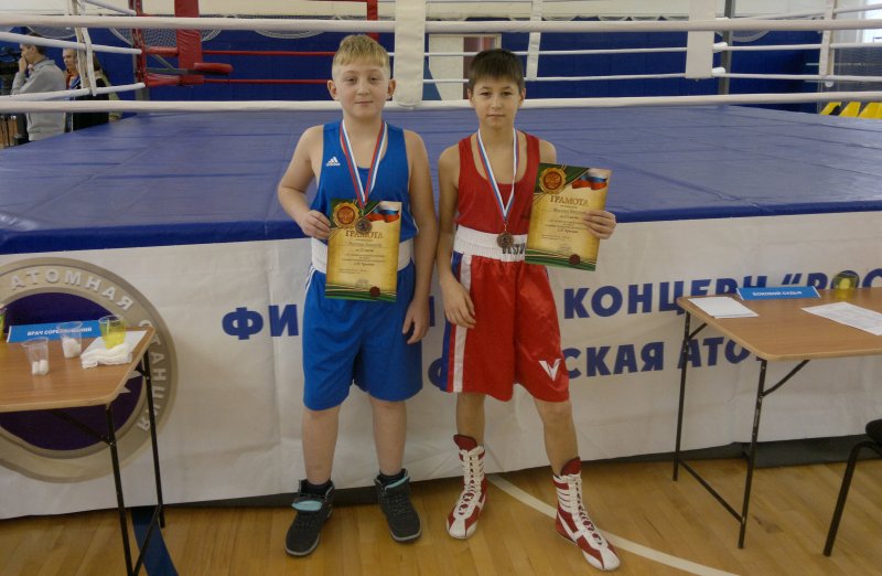 Наши боксеры успешно дебютировали