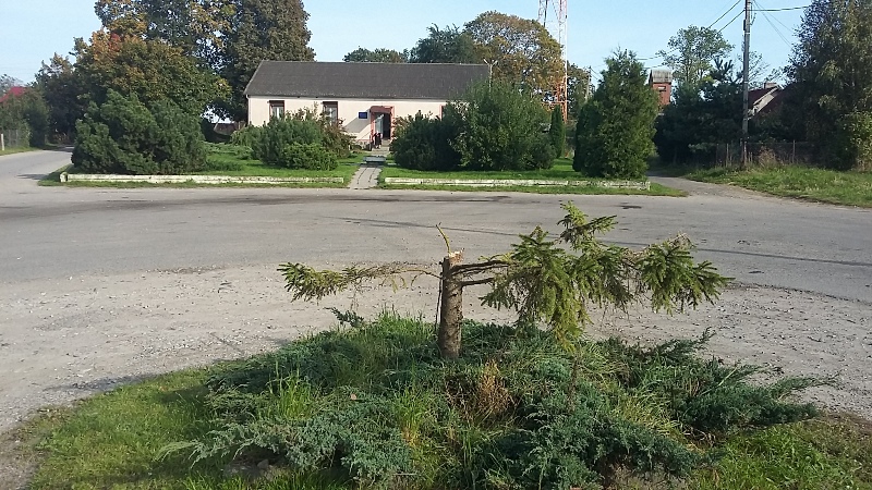 Под самый корень