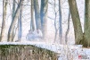 neuhausen0034.jpg
