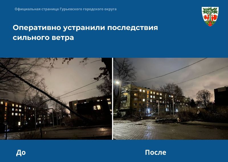 Оперативно устранили последствия сильного ветра
