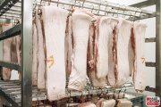 ham_013.jpg