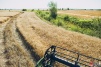 farmer020.jpg