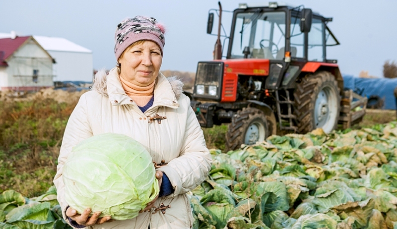 Уборочная практически завершена