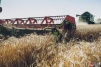 farmer026.jpg