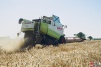 farmer027.jpg