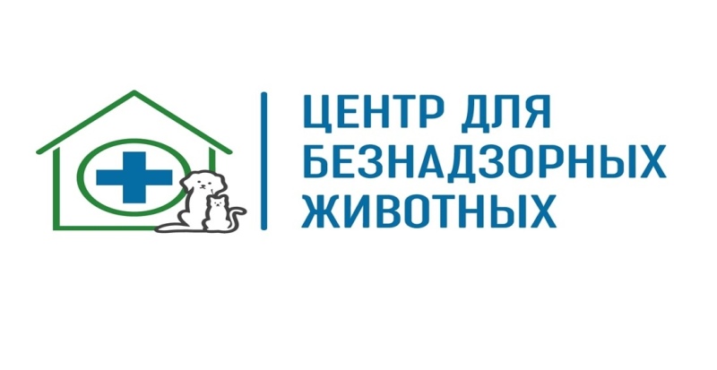 Калининградской межрайонной природоохранной прокуратурой проведена проверка публикаций СМИ об обращении с безнадзорными животными на территории Калининградской области