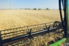 farmer021.jpg