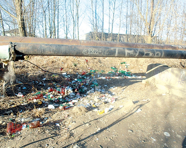 свалка.jpg