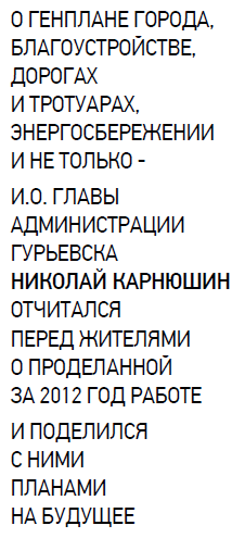Николай Карнюшин отчитался перед жителями о проделанной за 2012 год работе
