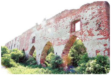 Остатки форбурга замка Бранденбург (пос. Ушаково) в 2007 году. Неужели его смогут восстановить?