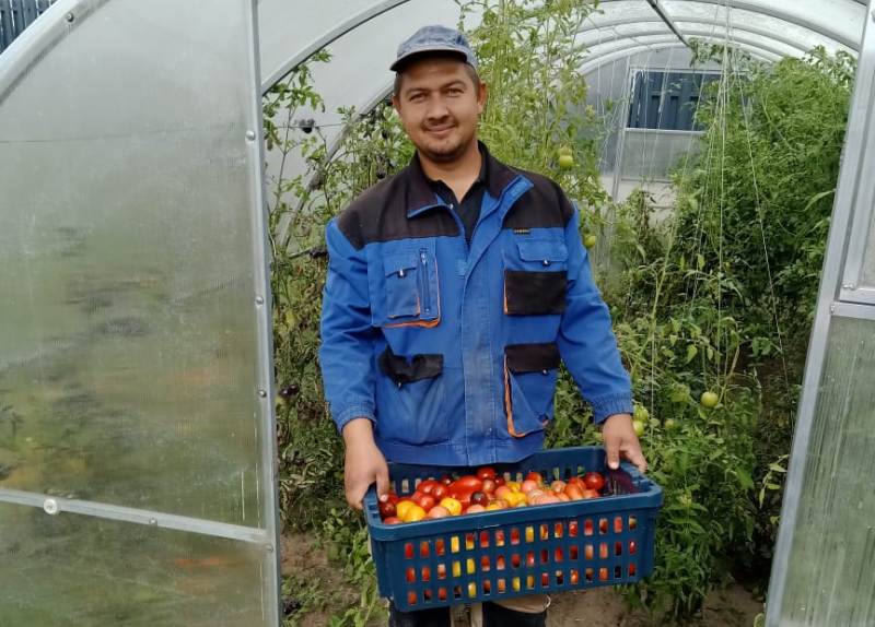 В результате Просвиркины получили от государства 100 000 рублей. И еще зимой успели, что называется, подготовить телегу. То есть, купили для возделывания участка заветный мотоблок и так необходимую просторную теплицу для выращивания томатов.