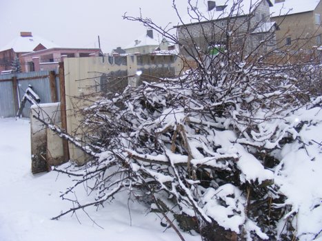 Убрать этот мусор не трудно, но коммунальщики не спешат