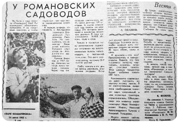 У романовских садоводов