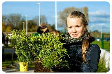 Территория вокруг кардиоцентра, что находится в поселке Родники, заметно похорошела - множество растений самых разных расцветок и форм "поселилось" здесь во время совместного субботника сотрудников Гурьевской районной администрации, всех поселений и лечебного учреждения.