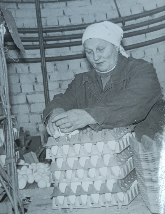 Событие областного масштаба: история Гурьевской птицефабрики