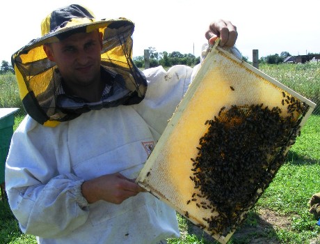 Главное занятие Андрея Кацюка - пчелы