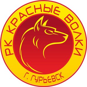 В ДЮСШ откроется отделение по регби