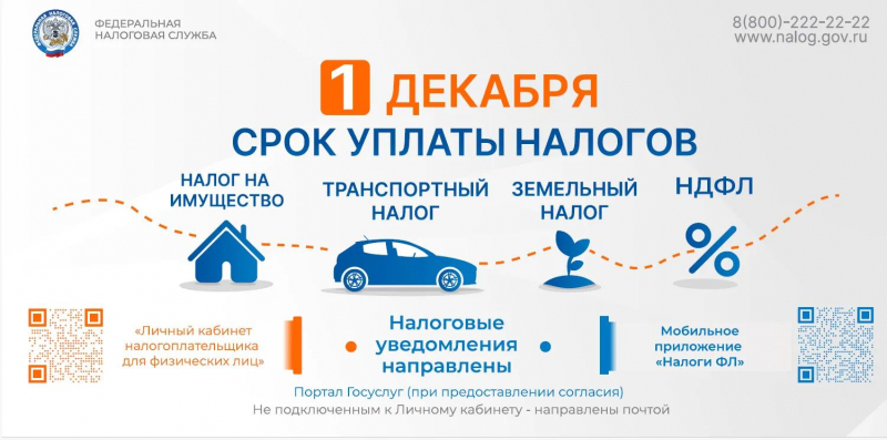 1 декабря: срок уплаты налогов