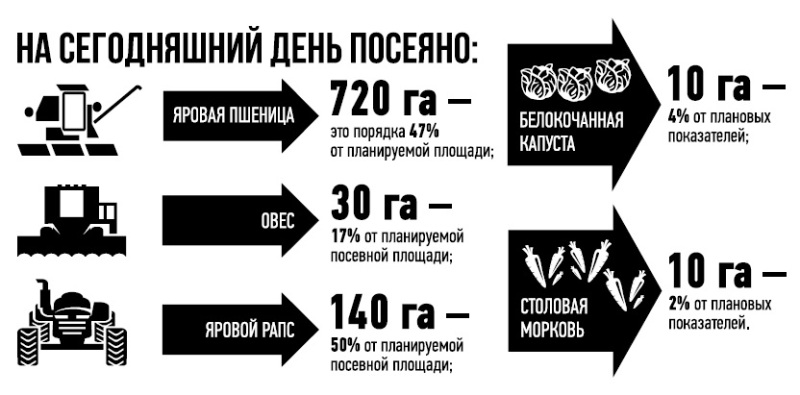 Пора в поля