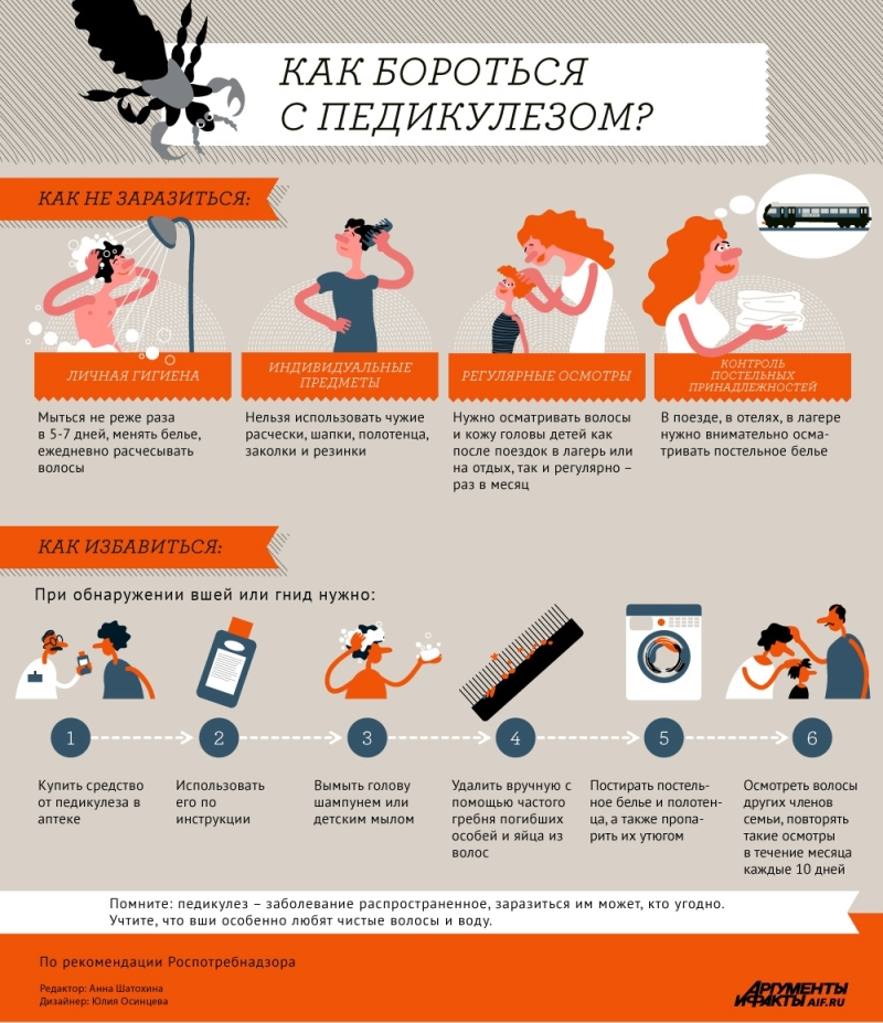 Меры профилактики педикулёза и алгоритм действий при его обнаружении